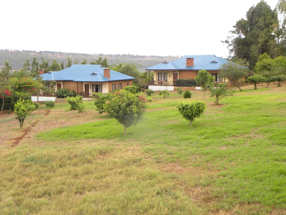 Olea Africana Lodge Karatu Esterno foto